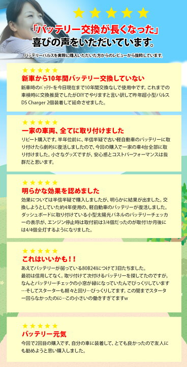 楽天市場】交換ほぼなし 10年寿命セニアカーバッテリー SC38-12 適合 2 