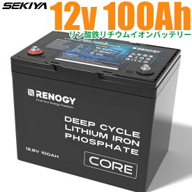 リン酸鉄リチウム電池 12V 100AH Core 5000回寿命 安全 BMS保護 軽量 コンパクト サポート無料 SEKIYA