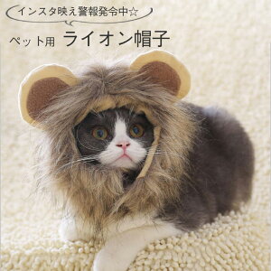 yyVLO܁z ybgpEBbO  t CI Ă݁yS3TCYzybgp lR ^ L̃nEB RX`[ɁICX^f Bep