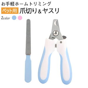 ybgp ܐ؂ { ܂₷ Zbg  L pi y2TCY×2J[z [܃Xgbp[@\ SbN@\ XvO o[nh ߐ؂ X