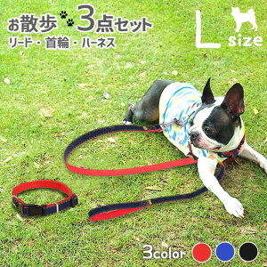 [h n[lX  U3_ Zbg LTCY ^p yS3Fzybgp 킢fj K̏d30Kgȉ