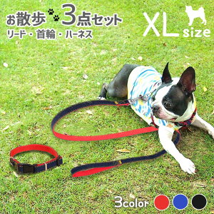 yyVLO܁z [h n[lX  U3_ Zbg XLTCY ^p yS3Fzybgp 킢fj K̏d40Kgȉ