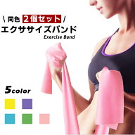 エクササイズバンド ゴム トレーニングチューブ 【2本セット×全5色】ヨガバンド 男女兼用 筋トレ フィッ…