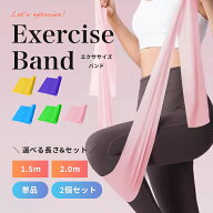 【楽天ランキング入賞】 エクササイズバンド ゴム トレーニングチューブ 【全5色】ヨガバンド 男女兼用 …