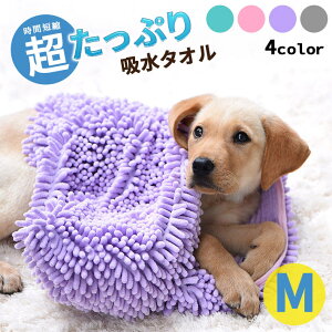 ybgp Ղz^I  LyMTCY S4Fz60cm × 35cm |GXe