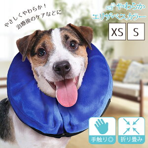 yyVLO܁z GUxXJ[ \tg  L yS^XSz 炩 GA[NbV^Cv 藎h~t ^