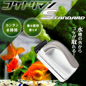 yyVLO܁z yyV1ʁz RP|  N[i[ RPg} Standard O瑀\I RP ANAE | }Olbg