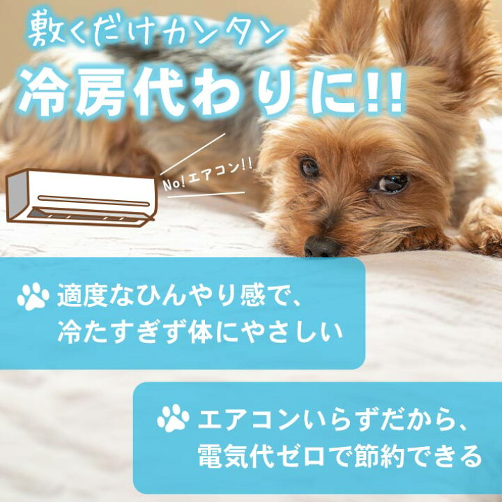626円 セール特別価格 ペット用 ひんやり マット 猫 小型犬 中型犬用 Mサイズ 50 60cm 防水加工 冷感 クール シート 626円 セール特別価格 ペット用 ひんやり マット 猫 小型犬 中型犬用 Mサイズ 50 60cm 防水加工 冷感 クール シート