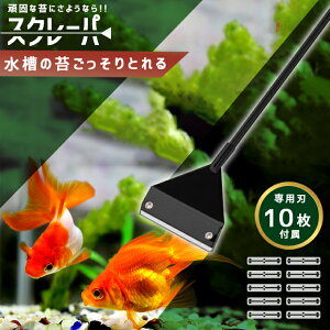 yyVLO܁z XN[p[ S45cm Z~O^Cv ւn10t 肱I|p