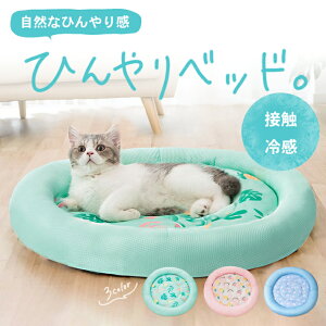 yyVLO܁z L xbh ėp Ђ yS3Fz ڐG⊴ ybgp  ی` h ې􂢉 ʋCQ NbV u\