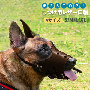 yyVLO܁z   U[}Yy4TCY:S`XLz^ ^ ^ ybg pi ʋC ih~