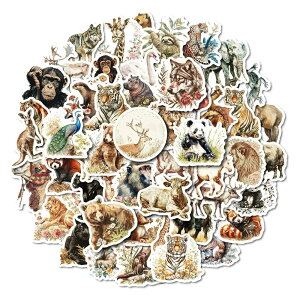  XebJ[ 50Zbg  CXg V[ 蒠 m[g X}z p\R X[cP[X fRp Mtg G (tHgJbg)