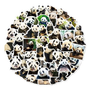 ���� �X�e�b�J�[ 50���Z�b�g ���� �C���X�g �V�[�� �蒠 �m�[�g �X�}�z �p�\�R�� �X�[�c�P�[�X �f�R�p �M�t�g �G�� (�p���_)