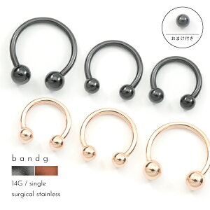 m܂Lb`tn T[L[ T[L[o[x {fBsAX Zv^ @ 14G ubN sNS[h   AM[ AM[t[ T[WJXeX 