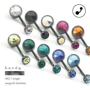 w\s o[x J[u XeX T[WJXeX ×pXeX 316L AM[ AM[t[ {fBsAX 14G L[rbNWRjA ubN Ўp Y fB