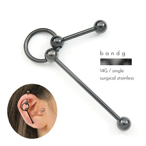 o[x C_XgA ςȂ XeX T[WJXeX ×pXeX AM[ AM[t[ 316L {fBsAX 14G  2A ubN O  C