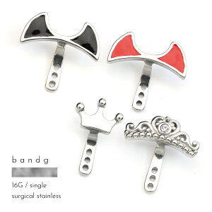 wbNX XeX T[WJXeX ×pXeX 316L AM[ AM[t[ {fBsAX 16G p[c  Aei JX^ fr eBA Ўp ܂t 