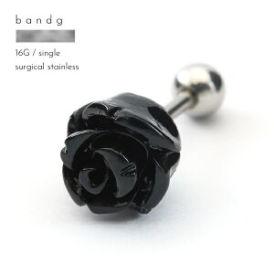 o[x XeX ςȂ T[WJXeX ×pXeX AM[ AM[t[ 316L {fBsAX 16G [Y KN AN Ўp SVbN pNY f