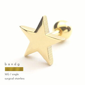 o[x ςȂ XeX T[WJXeX ×pXeX AM[ AM[t[ 316L {fBsAX 16G X^[  S[h   Y fB[X Ў