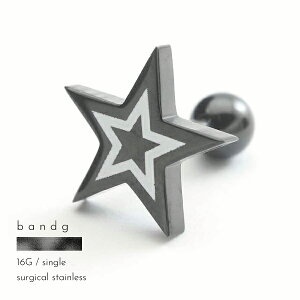 o[x ςȂ XeX T[WJXeX ×pXeX AM[ AM[t[ 316L {fBsAX 16G X^[  ubN   Y fB[X Ў