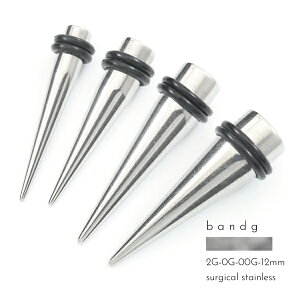 拡張器 エキスパンダー 12mm 00G 0G 2G ステンレス サージカルステンレス 医療用ステンレス 316L 金属アレルギー アレルギーフリー 拡張 ホールトゥ