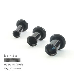 tA VOtA XeX T[WJXeX ×pXeX 316L AM[ AM[t[ ubN 8G 6G 4G {fBsAX g z[gD pN