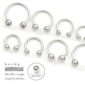 m܂Lb`tn T[L[o[x XeX T[WJXeX ×pXeX 316L AM[ AM[t[ {fBsAX 16G 14G Vo[ Ўp Y f