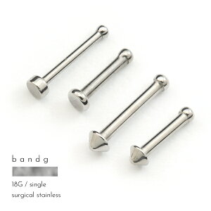 @s @sAX XeX T[WJXeX 316L AM[ AM[t[ {fBsAX 18G X^bh mXg Y fB[X Vv