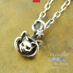 lbNX y_g  L lR Vo[925 Y fB[X PASSIONE nhCh uh Vo[ANZT[