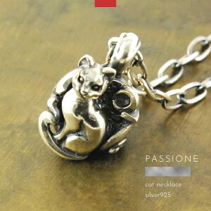 lbNX y_g  L lR Vo[925 Y fB[X PASSIONE nhCh uh Vo[ANZT[