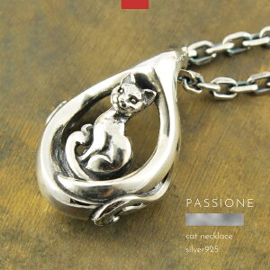 lbNX y_g L lR Vo[925 Y fB[X PASSIONE nhCh uh Vo[ANZT[