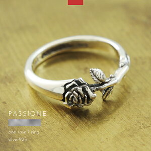 O w KN o [Y Vo[925 Y fB[X PASSIONE nhCh uh Vo[ANZT[