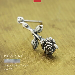 sAX KN o [Y X^bh Vo[925 Y fB[X PASSIONE nhCh uh Vo[ANZT[