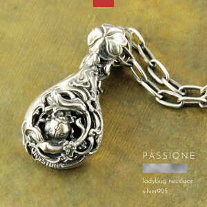 lbNX y_g ĂƂ V Vo[925 Y fB[X PASSIONE nhCh uh Vo[ANZT[