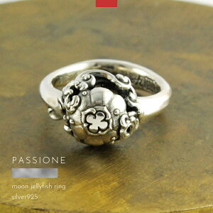 O w NQ ~YNQ Vo[925 Y fB[X 300 ~ebh PASSIONE nhCh uh Vo[ANZT[