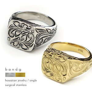 O ςȂ XeX T[WJXeX ×pXeX AM[ AM[t[ 316L nCAWG[ w nC nCA 䃊O  VOlbg