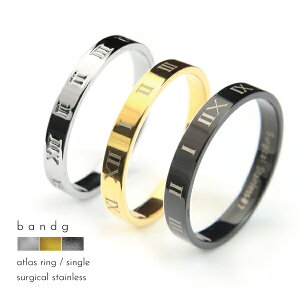 O w ςȂ XeX T[WJXeX ×pXeX AM[ AM[t[ 316L AgX   v    d˕t Pi Y f