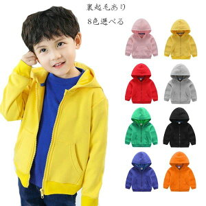 yN[|ő1000~OFF!zq ~ AE^[ t[ht J[fBK h ʊw ^ ~ AE^[ LbY  J[fBK sN CG[ bh O[ O[ ubN u