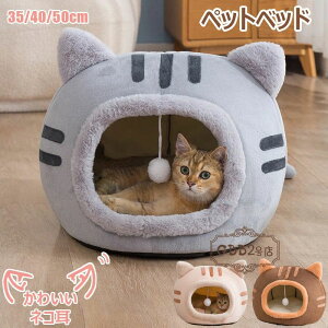 y2536~2206~ 8%COUPON+P5{!11/15 23:59܂Łzybgxbh LnEX Lpi lRt h[^  ۉ h I[V[Y  Lp ϖ  Q O\ ybgpi