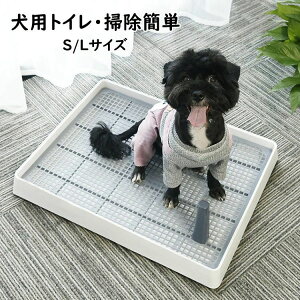 yP2{I2280~2234~ 12/11 01:59܂ŁzgC zCg STCY LTCY p }[LO|[ ^ ^ e p グ pgC gݗĊȒP |y bVt