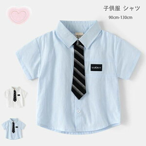 yVLOiIzq tH[}Vc j̎q ̎q Vc  LbY Vc  100% Vc i ʊw ʉ oq qǂ xr[ {[CY K[Y V