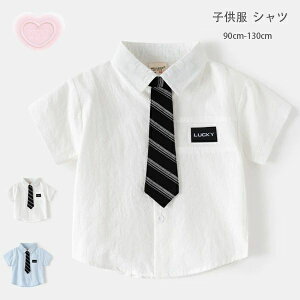 yVLOiIzq tH[}Vc j̎q ̎q Vc  LbY Vc  100% Vc i ʊw ʉ oq qǂ xr[ {[CY K[Y V