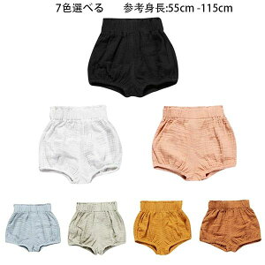 yVLOiIz؍q qpc xr[pc jp V[c ubN zCg sN u[ J[L CG[ L pc ̎q j̎q ăpc ct ۈ