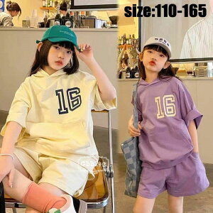 y5565~P5{! 10/17܂Łz؍q ZbgAbv  JWA i` t[ht vg ̎q X|[cEFA  ][g LbY  JWA ꂢ ^