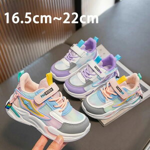 y4900~4263~ 8%COUPON+P5{!11/15 23:59܂ŁzX|[cC Xj[J[ LbY _XV[Y jOV[Y ̎q ^C  i w bV ʉ ʊw y  LbY