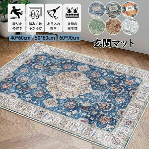 【新発売限定記念価格!】玄関マット プリント カーペット 吸水マット 大判 室内 長方形 玄関ラグ ドアマット エントランス 滑り止め付き 泥落としマット 泥除け 砂落とし 家庭用 屋内用ド