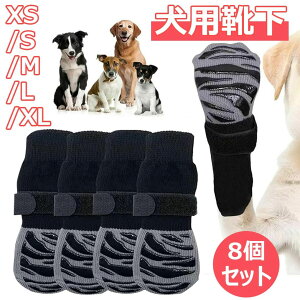 yP2{I2169~2126~ 11/11܂Łz C ~ ybgp \bNX ی \ _炩 ʋCɗD Lk PK\h rߖh~ U  t[O y h