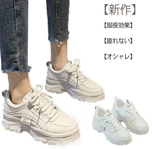 Xj[J[ _bhXj[J[ fB[X X|[cV[Y EH[LO g[jO ʊw ʋ 풅p ₷ JWA IV y r g zCg  Xj[J[ 