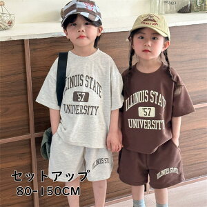 yVLOiIzq ZbgAbv  TVc Y{ 2_Zbg pcZbg JWA X|[cEFA  ǂ  JWA ꂢ ^ /w