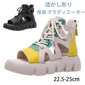 y3510~3054~ 8%COUPON+P5{!11/15 23:59܂Łz OfBG[^[ T_ fB[X [} w6cmȂ obNWbp[ nCJbg tďH  T_u[c V[g